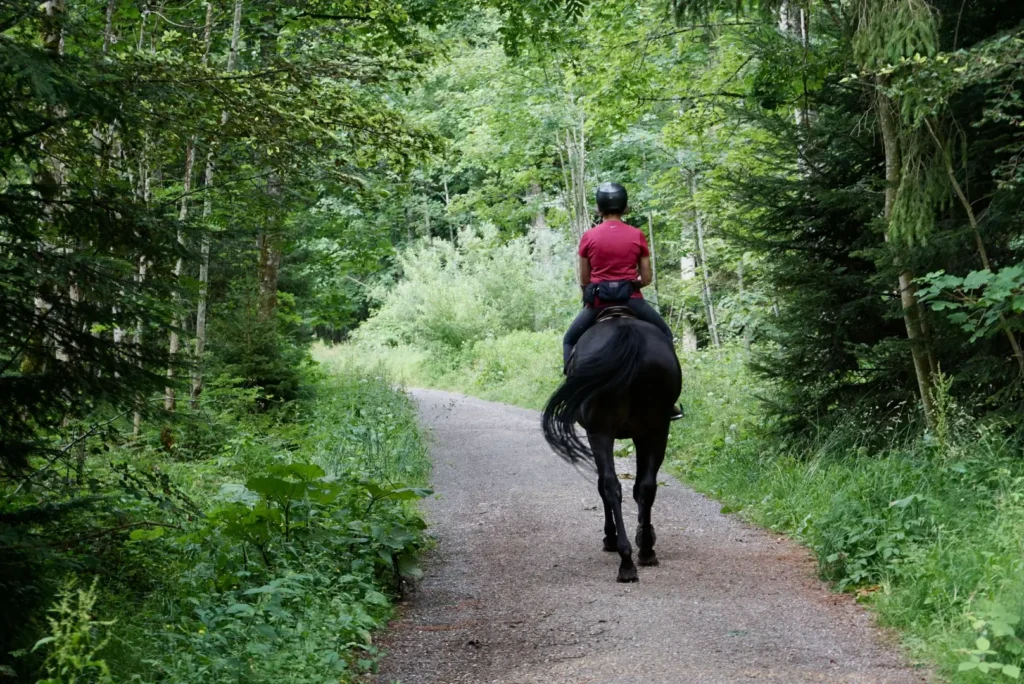 Passeggiata a Cavallo Lago di Garda