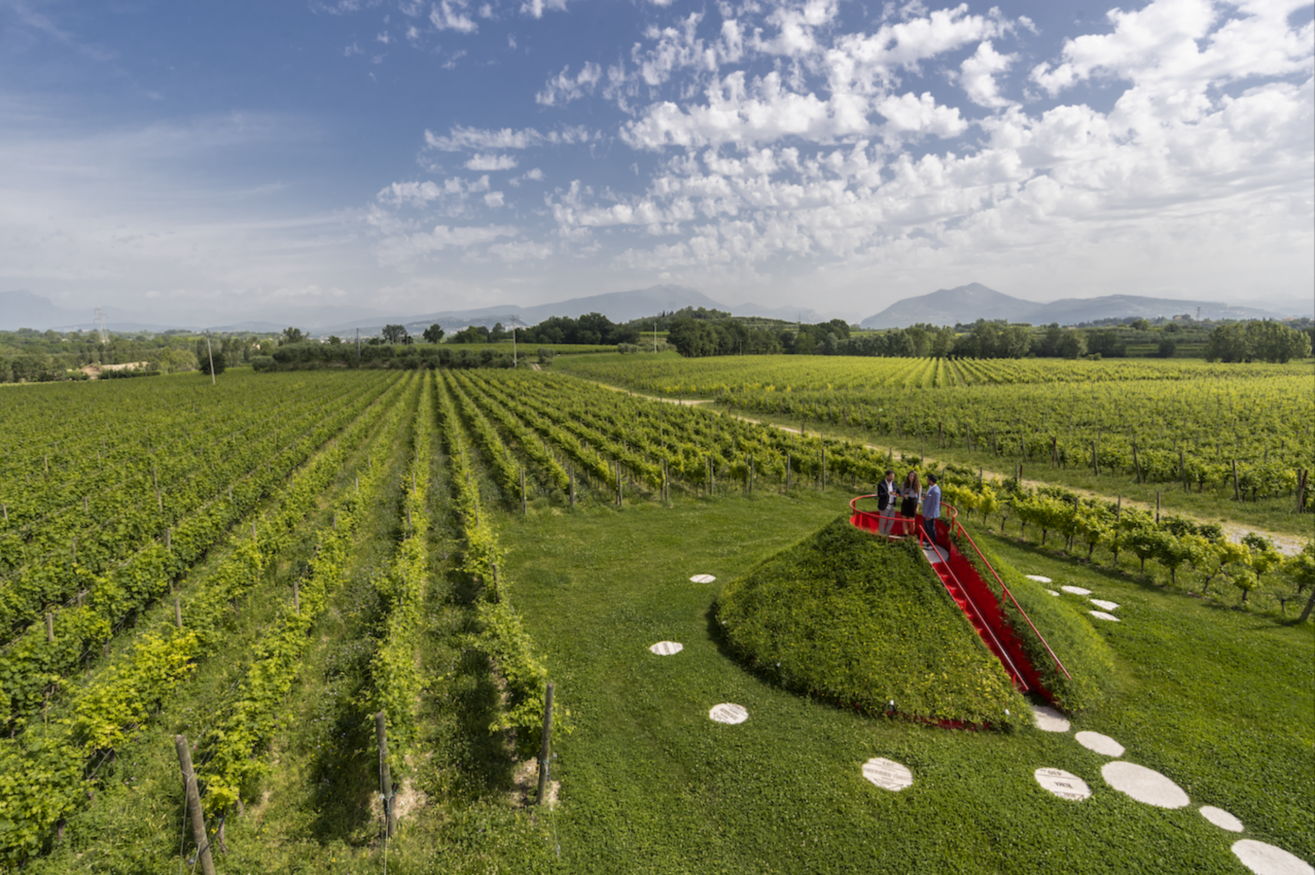 Landscape around winery