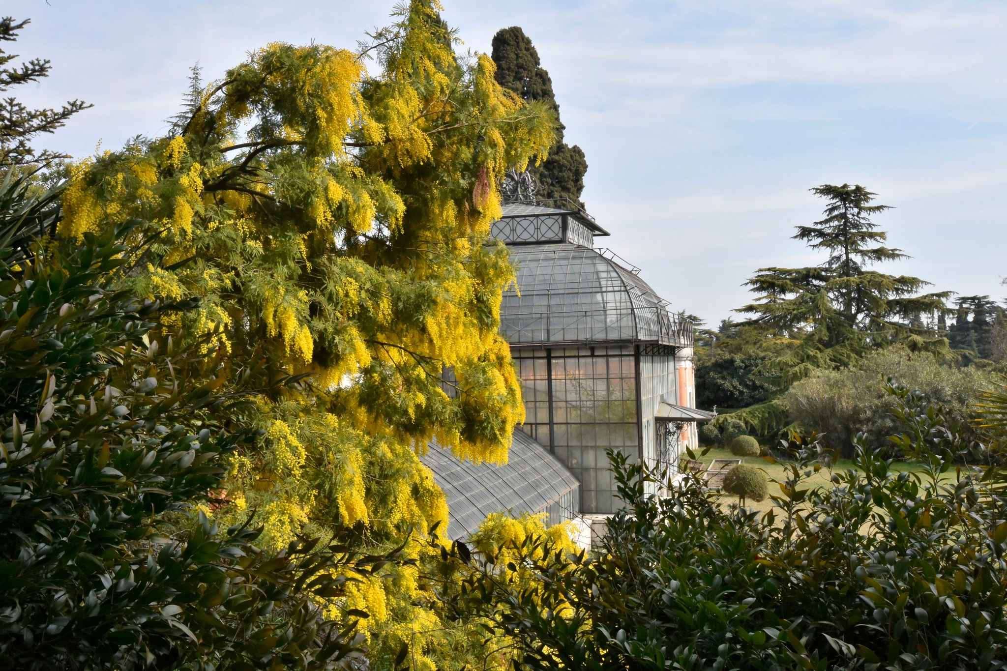 Winter Garden Villa dei Cedi