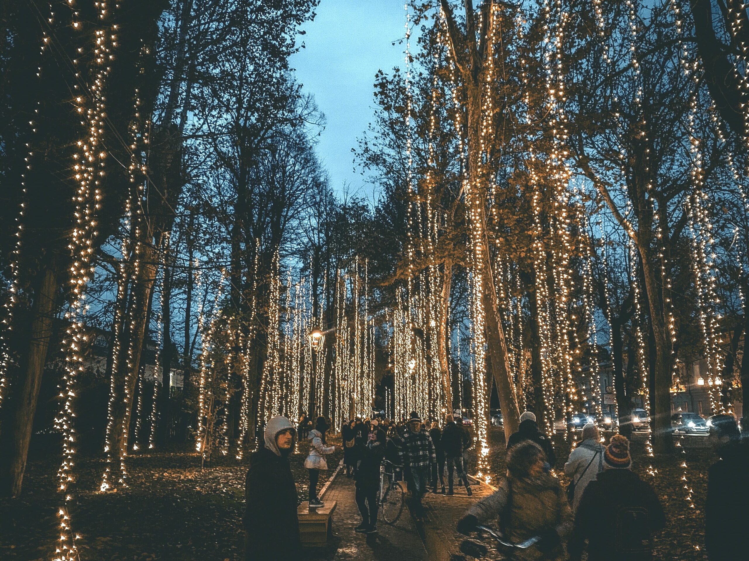 Mercadillos de Navidad Lago de Garda